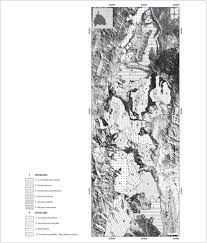 Attēlu rezultāti vaicājumam “Juncus nastanthus”