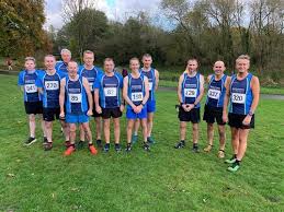 Image result for Ballymena Runners