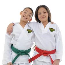 Image result for Springwood Karate