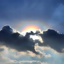 Attēlu rezultāti vaicājumam “pollen corona”