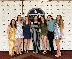 Image result for Northern Gymnastics Club CIC