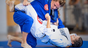 Image result for Yeo Dojo Also Teaching Gracie Jujutsu