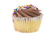 Cupcake Recipes