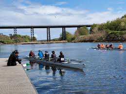 Image result for Cambois Amateur Rowing Club