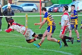 Image result for Matson Rugby Football Club