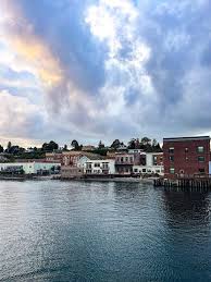 Image result for Portway Plodders