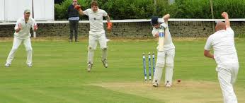 Image result for Denby Cc
