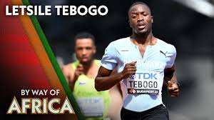 Image result for Tobogo
