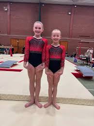 Image result for Tamworth Olympic Gymnastics Club