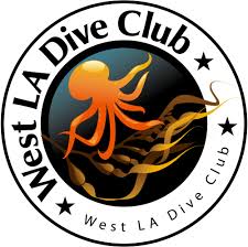 Image result for 3D Diving Club
