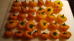 Afbeeldingsresultaat voor yellow mushroom hot pepper