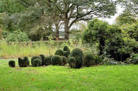 Image result for Priona Tuinen