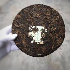 Image result for 2009早春