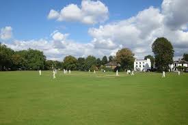 Image result for Mitcham Cricket Club