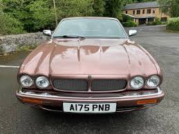 Image result for Rose Bronze 1995 Jaguar