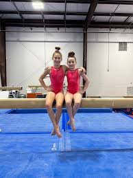 Image result for Weybridge Gymnastics