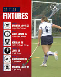 Image result for Mid Surrey Ladies Hockey Club