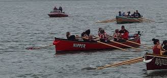 Image result for Torridge Pilot Gig Club