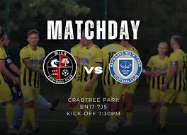 Image result for Haywards Heath Town Ladies Football Club
