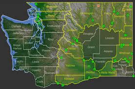 Attēlu rezultāti vaicājumam “Draba nemorosa fruit”