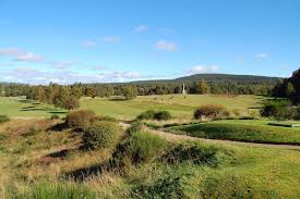 Image result for Abernethy Golf Club