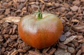 Afbeeldingsresultaat voor CDB tomato