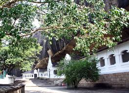 Image result for Дамбулла