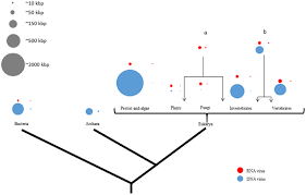 Image result for genome sizes