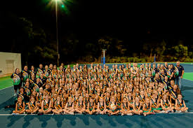 Image result for Wombles Netball Club