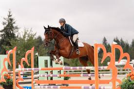 Image result for Annandale Equestrian Centre