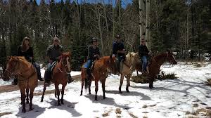 Image result for Old Park Riding Stables