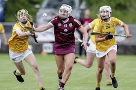 Image result for Con Magee`s Gaelic Athletic Club