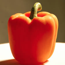 Afbeeldingsresultaat voor orange sun sweet pepper