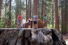 Calaveras Big Trees State Park California