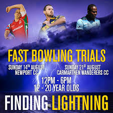 Image result for Carmarthen Wanderers Cricket Club