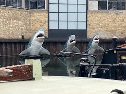 Image result for London Sharks Floorball Club