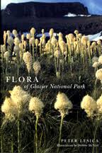 Attēlu rezultāti vaicājumam “Carex chordorhiza”