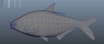 Image result for Dorosoma cepedianum