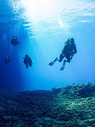 Image result for Three Seas Diving