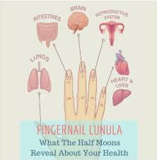 Image result for lunula nail