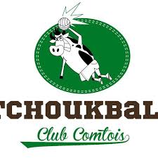 Image result for Portsmouth Tchoukball Club
