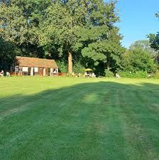 Image result for Steyning Cricket Club