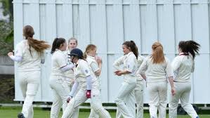 Image result for Hayfield Cricket Club