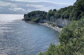 Image result for stevns klint