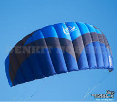 Image result for Baiter Power Kite