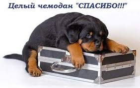 http://t0.gstatic.com/images?q=tbn:ANd9GcS8-uCQ02dtVlTZOdVNW4uwFTBz_u2ujJzGFFotk5vQjX6Ieo5m