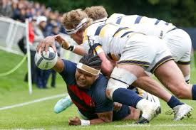 Image result for St Mary's Old Boys Rugby Union Football Club