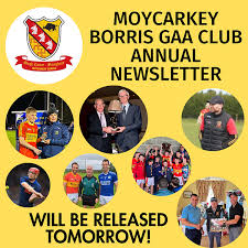 Image result for Moycarkey-Borris Gaa Club