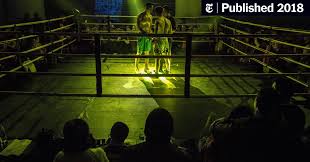 Image result for Chinese Kick Boxing Club