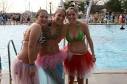 largest polar bear plunge
